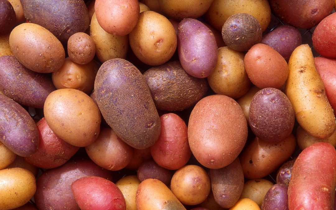 Potato and Onion Food Storage Recipes